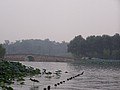 P1010177.JPG