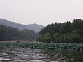P1010184.JPG