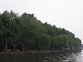 P1010185.JPG