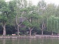 P1010186.JPG