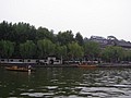 P1010188.JPG