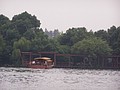 P1010196.JPG