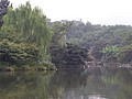 P1010207.JPG