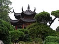 P1010219.JPG