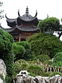 P1010220.JPG