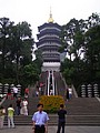 P1010239.JPG