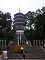 P1010242.JPG
