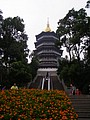 P1010243.JPG