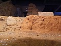 P1010246.JPG