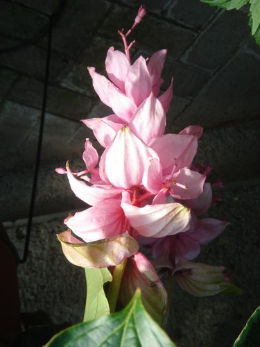 DSC01959.JPG