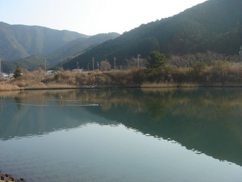 DSC02008.JPG