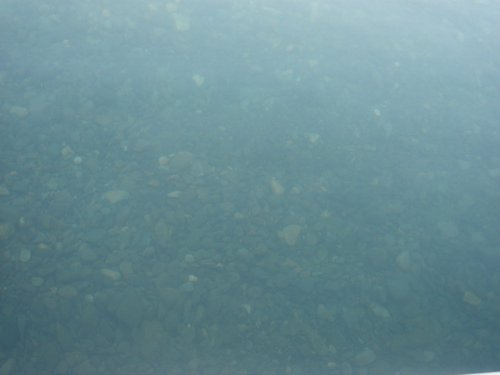 DSC02015.JPG