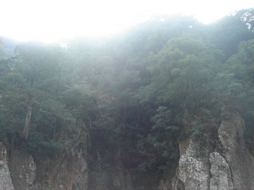DSC02018.JPG