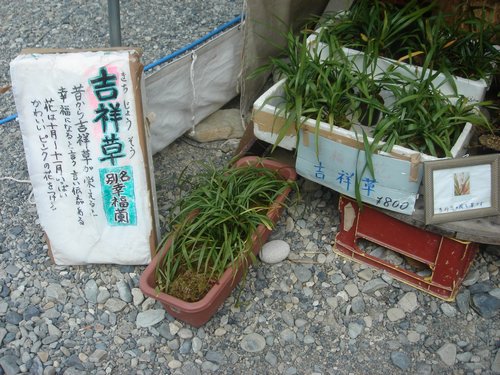 DSC02034.JPG