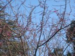 DSC01939.JPG