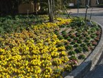 DSC01940.JPG
