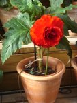 DSC01942.JPG