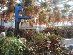 DSC01944.JPG