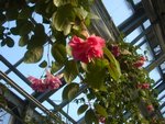 DSC01950.JPG