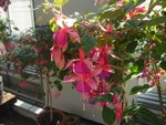DSC01951.JPG