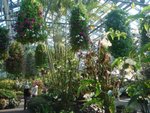 DSC01953.JPG
