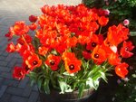 DSC01955.JPG