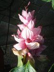 DSC01959.JPG