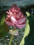 DSC01961.JPG