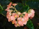 DSC01964.JPG