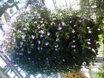 DSC01965.JPG