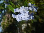 DSC01968.JPG