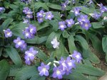 DSC01971.JPG
