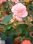 DSC01980.JPG