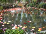 DSC01985.JPG