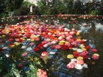 DSC01986.JPG