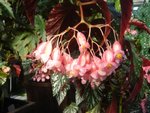 DSC01988.JPG