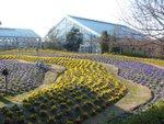 DSC01990.JPG