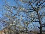 DSC01991.JPG