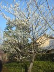 DSC01992.JPG