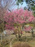 DSC01993.JPG