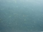 DSC02015.JPG