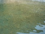 DSC02029.JPG