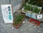DSC02034.JPG