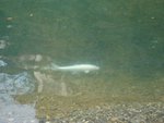 DSC02035.JPG