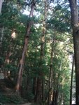 DSC02044.JPG
