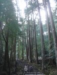 DSC02045.JPG