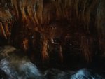 DSC02062.JPG