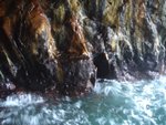 DSC02065.JPG