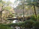 DSC02078.JPG