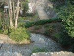 DSC02079.JPG